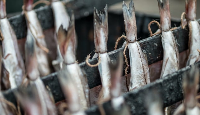 Close up of hanging fish